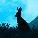 BLUE-NOTE's avatar